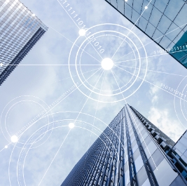 外資企業設立